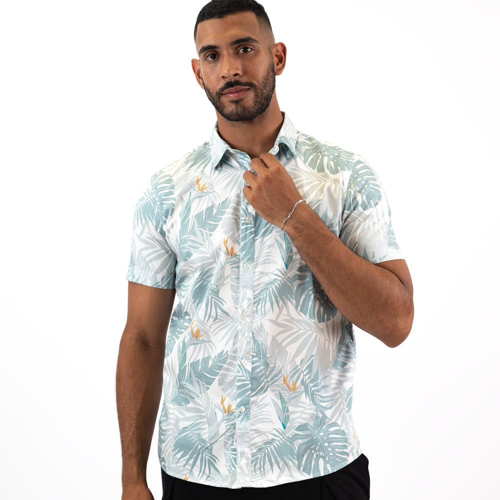 Camisa Mc Woallance Alexander  H25-26