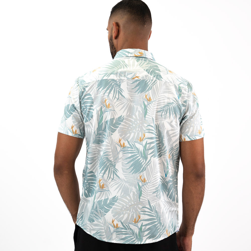 Camisa Mc Woallance Alexander  H25-26