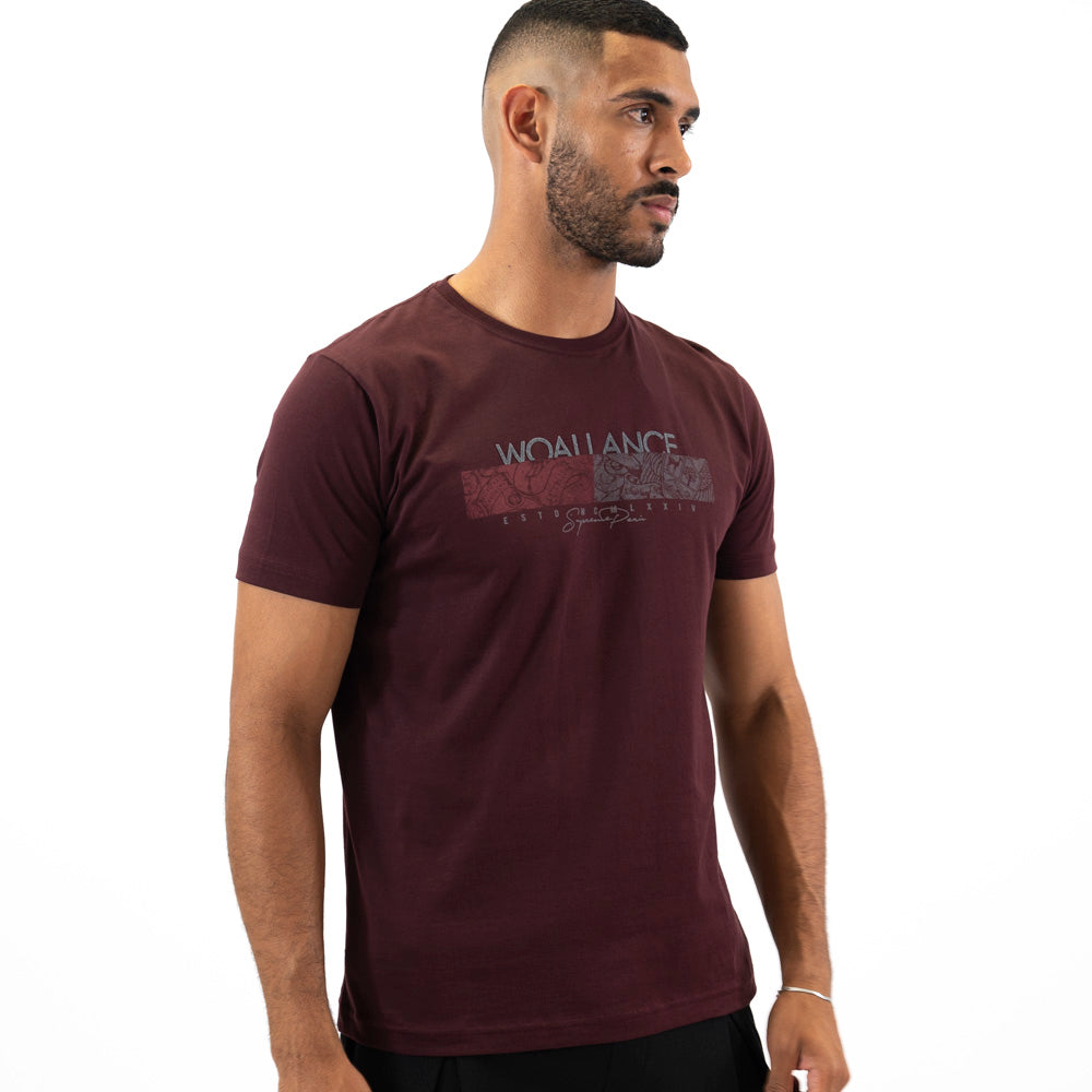 Polo Manga Corta Algodón Woallance Clásico 040 H25